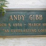 Curiosidades sobre Andy Gibb